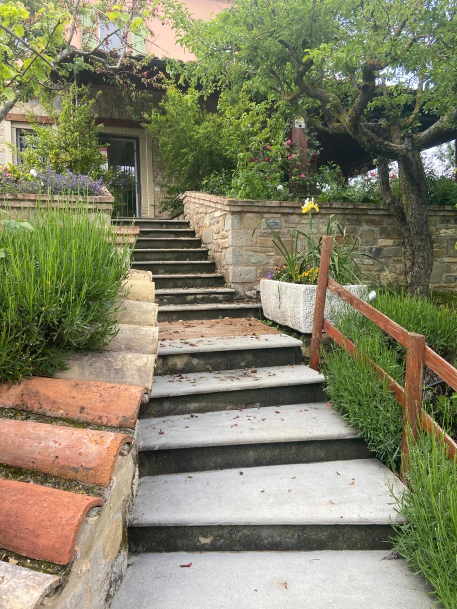 Agriturismo I Tassoni Villa Pavullo nel Frignano Exteriör bild