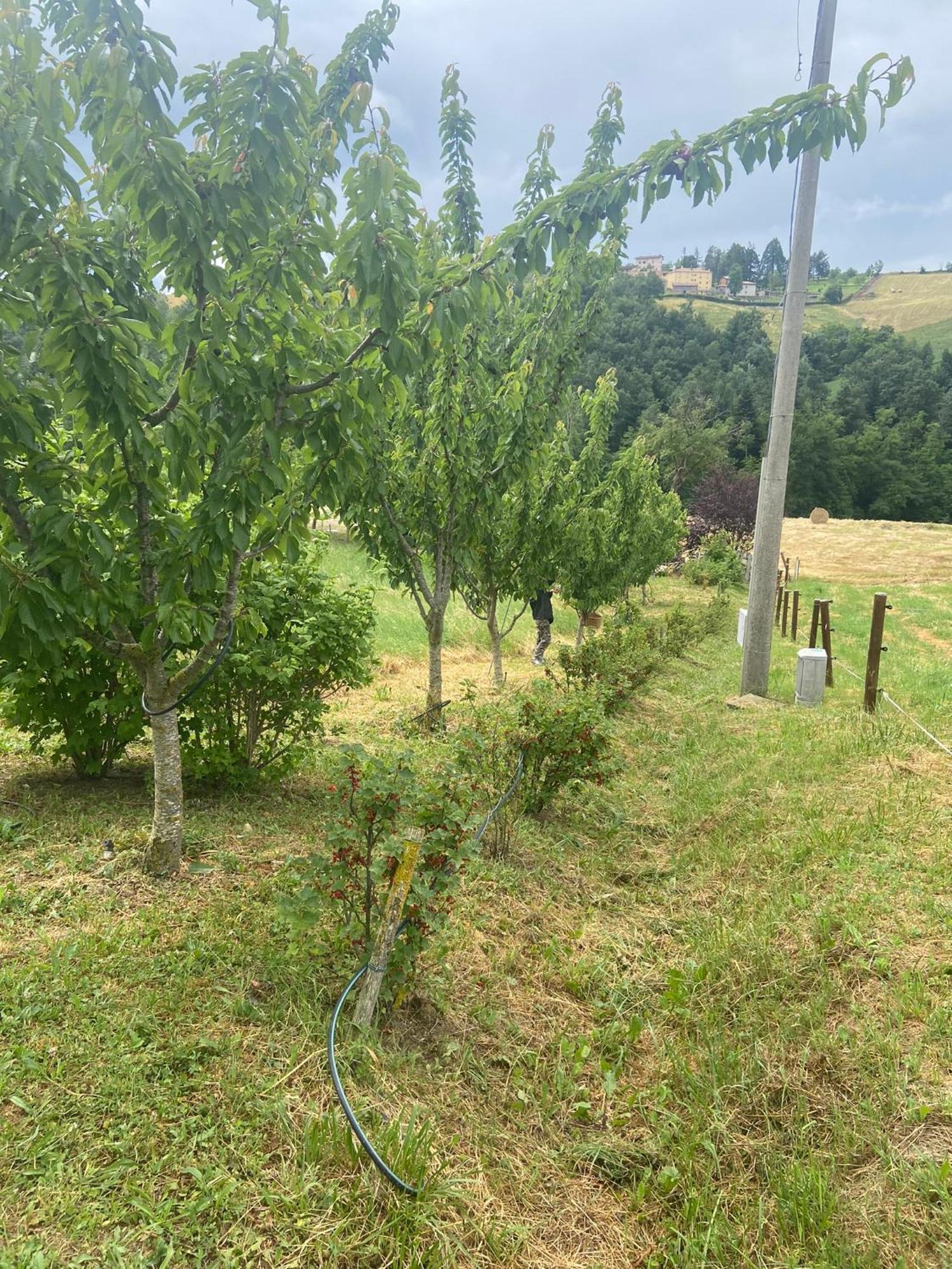 Agriturismo I Tassoni Villa Pavullo nel Frignano Exteriör bild